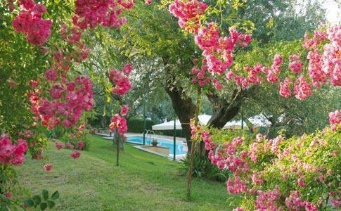 Hotel Villa Vecchia Monte Porzio Catone Luaran gambar